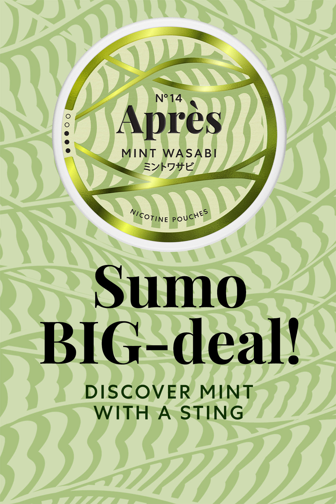 Wasabi_Hemsida_Mobile_Desktop_Sumo_Big_1080_x_1620_px_26.10.01.jpg